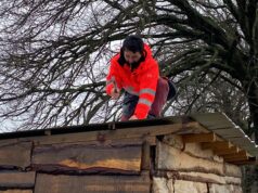 Caídas de árboles, voladuras de techos y cortes de energía provocó sistema frontal en Pitrufquén