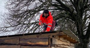 Caídas de árboles, voladuras de techos y cortes de energía provocó sistema frontal en Pitrufquén