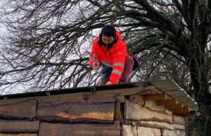 Caídas de árboles, voladuras de techos y cortes de energía provocó sistema frontal en Pitrufquén