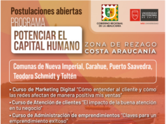 Abren nueva convocatoria para programa del gobierno regional: “potenciar el capital humano” dirigido a emprendedores de la zona costa Araucanía