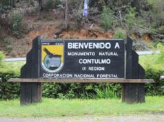 Cierres preventivos en áreas protegidas y centro de ski de La Araucanía por sistema frontal