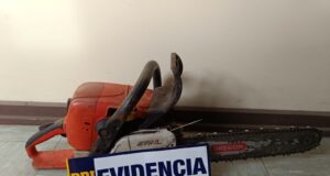 En Pitrufquén detienen a un hombre por sustracción de madera desde un predio particular