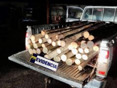 Cincuenta estacas de madera sustraídas desde empresa agrícola en Angol fueron recuperadas por la PDI