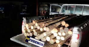 Cincuenta estacas de madera sustraídas desde empresa agrícola en Angol fueron recuperadas por la PDI