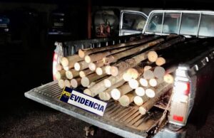 Cincuenta estacas de madera sustraídas desde empresa agrícola en Angol fueron recuperadas por la PDI