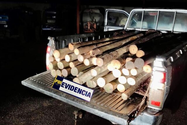 Cincuenta estacas de madera sustraídas desde empresa agrícola en Angol fueron recuperadas por la PDI