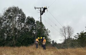 Municipio de Pitrufquén apoyará demanda colectiva por cortes en el suministro eléctrico