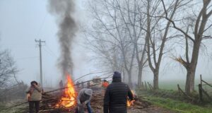 Freire: vecinos del sector Santa Julia bloquean ruta en protesta por demora en reposición del suministro eléctrico