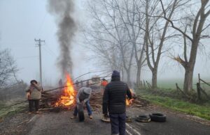 Freire: vecinos del sector Santa Julia bloquean ruta en protesta por demora en reposición del suministro eléctrico