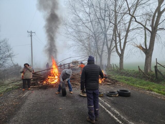 Freire: vecinos del sector Santa Julia bloquean ruta en protesta por demora en reposición del suministro eléctrico
