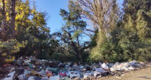 Pitrufquén: vecinos de Molco denuncian problema de micro basural sin respuesta de autoridades