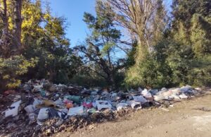 Pitrufquén: vecinos de Molco denuncian problema de micro basural sin respuesta de autoridades