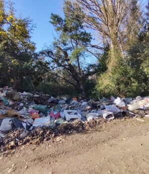 Pitrufquén: vecinos de Molco denuncian problema de micro basural sin respuesta de autoridades