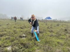 Los Sauces celebra con éxito una nueva versión de la fiesta del camarón de tierra y de la miel