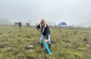 Los Sauces celebra con éxito una nueva versión de la fiesta del camarón de tierra y de la miel