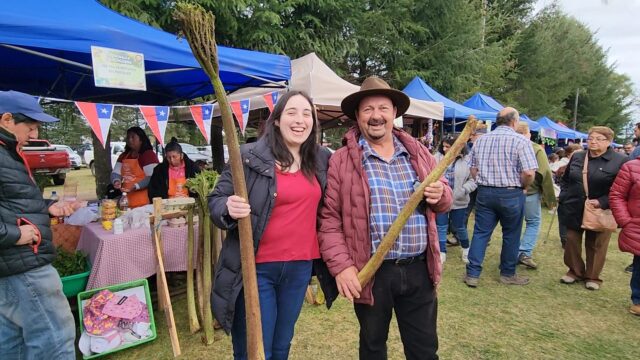 Feria de la nalca y el digüeñe se disfrutará por dos días en su 6° versión en Pitrufquén