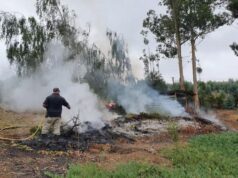 CONAF hace llamado a dar aviso por uso del fuego agrícola y forestal en La Araucanía