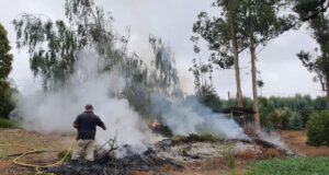 CONAF hace llamado a dar aviso por uso del fuego agrícola y forestal en La Araucanía
