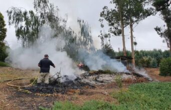 CONAF hace llamado a dar aviso por uso del fuego agrícola y forestal en La Araucanía