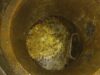 Aguas Araucanía refuerza limpieza de alcantarillado por el 18´: más del 50% de lo extraído es basura