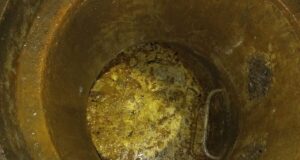 Aguas Araucanía refuerza limpieza de alcantarillado por el 18´: más del 50% de lo extraído es basura