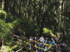 Liceo Bicentenario Politécnico de Pitrufquén realiza exitosa salida pedagógica «Proyecto Rucamanque