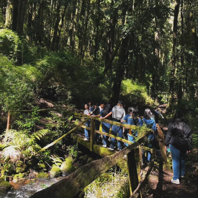 Liceo Bicentenario Politécnico de Pitrufquén realiza exitosa salida pedagógica «Proyecto Rucamanque