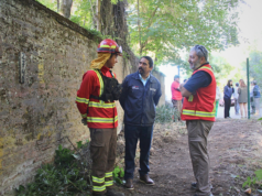 Seremi de Agricultura de La Araucanía anunció planes con el presupuesto 2025 en la zona