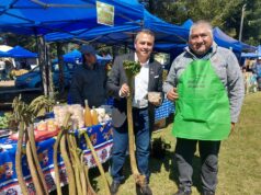 Más de ocho mil personas visitaron, este fin de semana, la Feria de la Nalca y el Digüeñe en Pitrufquén
