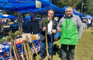 Más de ocho mil personas visitaron, este fin de semana, la Feria de la Nalca y el Digüeñe en Pitrufquén
