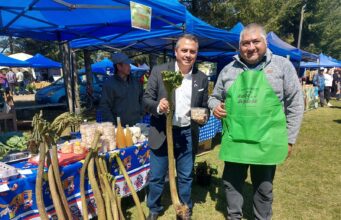 Más de ocho mil personas visitaron, este fin de semana, la Feria de la Nalca y el Digüeñe en Pitrufquén