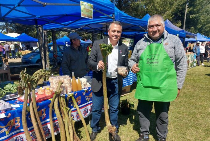 Más de ocho mil personas visitaron, este fin de semana, la Feria de la Nalca y el Digüeñe en Pitrufquén