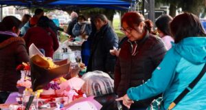 Feria de emprendedores mapuche en Freire: un encuentro de cultura y productos locales