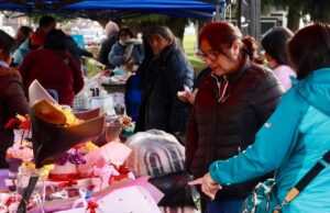 Feria de emprendedores mapuche en Freire: un encuentro de cultura y productos locales