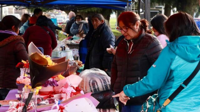 Feria de emprendedores mapuche en Freire: un encuentro de cultura y productos locales