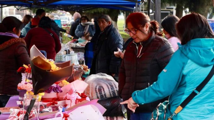 Feria de emprendedores mapuche en Freire: un encuentro de cultura y productos locales