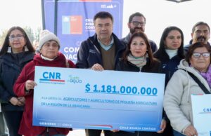 Agricultores de Villarrica se adjudicaron más de $304 millones en obras de riego