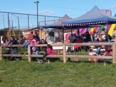 Entretenida celebración familiar del 18 Chico en Pitrufquén: yincana y corrida infantil sorprenden a los vecinos del sector “El alto”