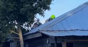 Carabinero de franco ayudar a extinguir fuego que afectó a una vivienda en el sector rural de Peleco en Teodoro Schmidt