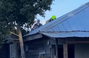 Carabinero de franco ayudar a extinguir fuego que afectó a una vivienda en el sector rural de Peleco en Teodoro Schmidt