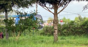 Adulto mayor muere tras ser atropellado por tren de pasajeros en Pitrufquén