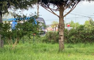 Adulto mayor muere tras ser atropellado por tren de pasajeros en Pitrufquén