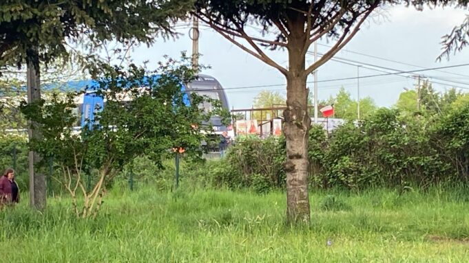 Adulto mayor muere tras ser atropellado por tren de pasajeros en Pitrufquén