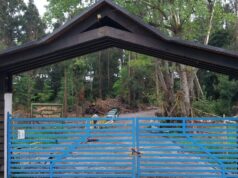 Reportan hallazgo de un cuerpo en el parque Isla Municipal de Pitrufquén: Noticia en desarrollo