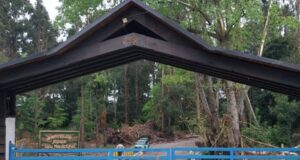 Reportan hallazgo de un cuerpo en el parque Isla Municipal de Pitrufquén: Noticia en desarrollo