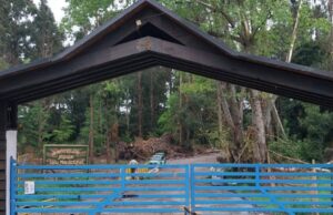 Reportan hallazgo de un cuerpo en el parque Isla Municipal de Pitrufquén: Noticia en desarrollo