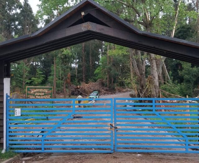 Reportan hallazgo de un cuerpo en el parque Isla Municipal de Pitrufquén: Noticia en desarrollo