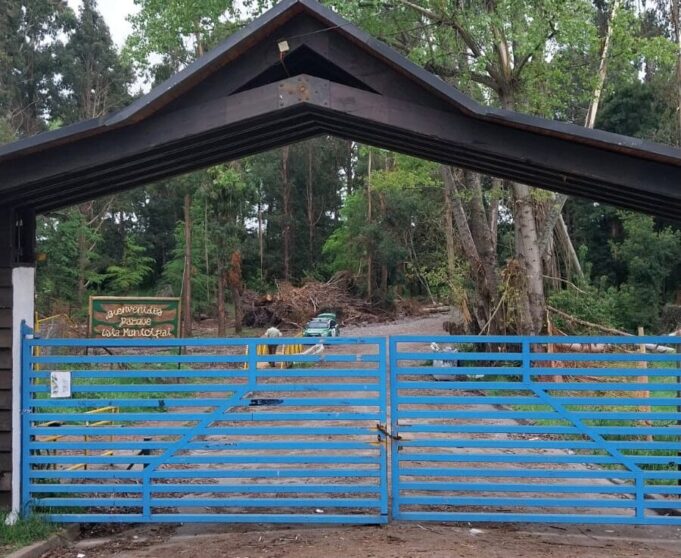 Reportan hallazgo de un cuerpo en el parque Isla Municipal de Pitrufquén: Noticia en desarrollo