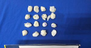 Detienen a mujer que intentó ingresar droga a la cárcel de la Lautaro en recipientes de comida