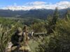 Carabineros de La Araucanía detiene a tres personas por contrabando y decomisa productos ingresados de forma ilegal al país